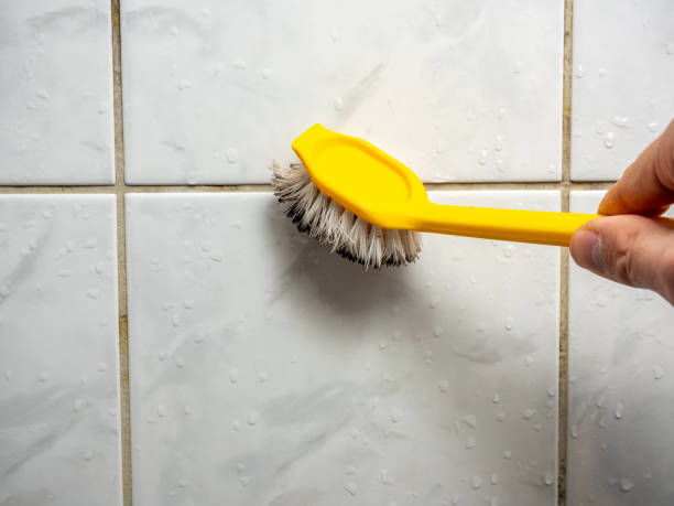 Best Insurance-Related Mold Remediation in South Fallsburg, NY
