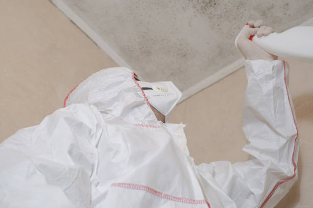Best Health and Safety Mold Remediation in South Fallsburg, NY